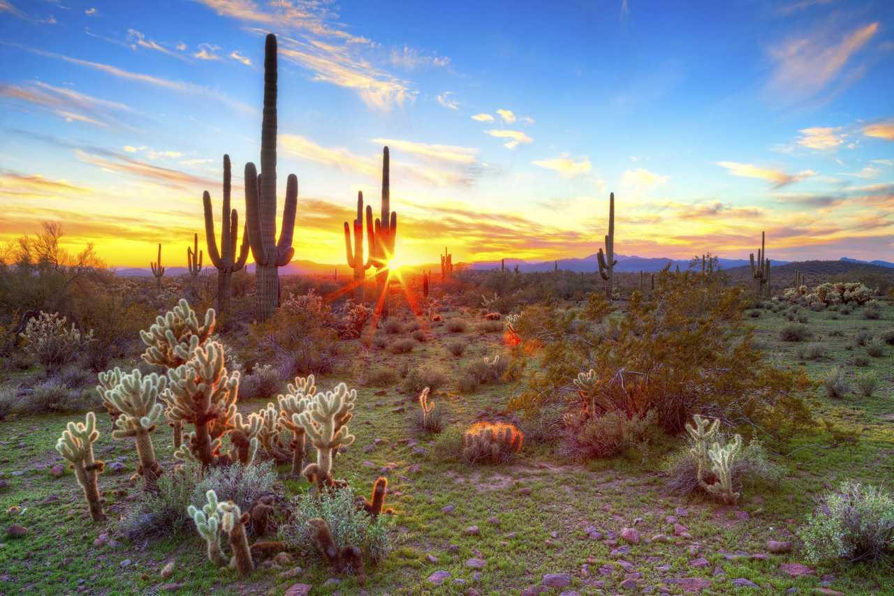 Cambria Hotel Phoenix Chandler - Fashion Center Εξωτερικό φωτογραφία