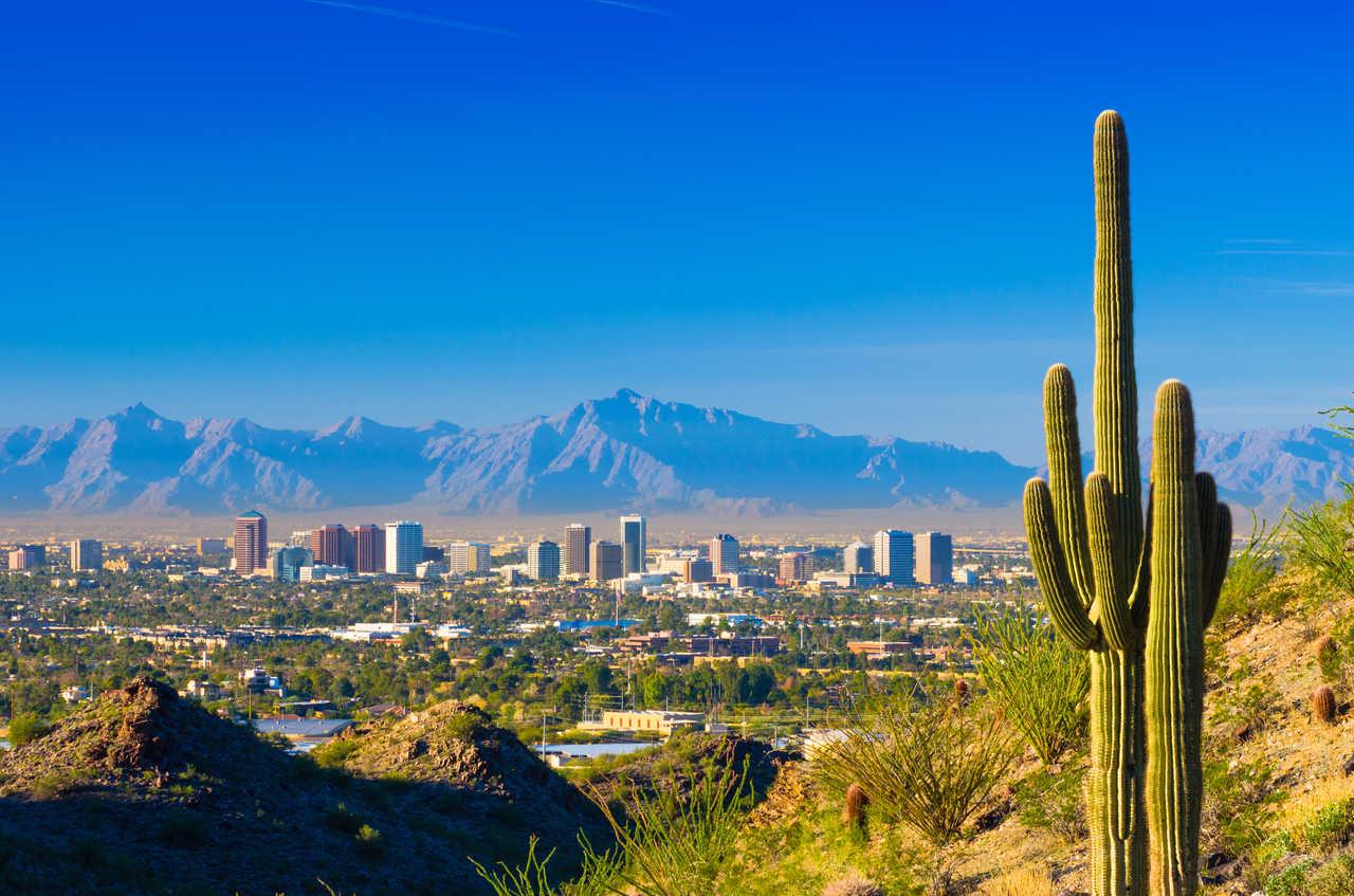 Cambria Hotel Phoenix Chandler - Fashion Center Εξωτερικό φωτογραφία